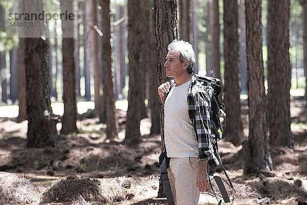 Älterer Mann beim Wandern im Wald