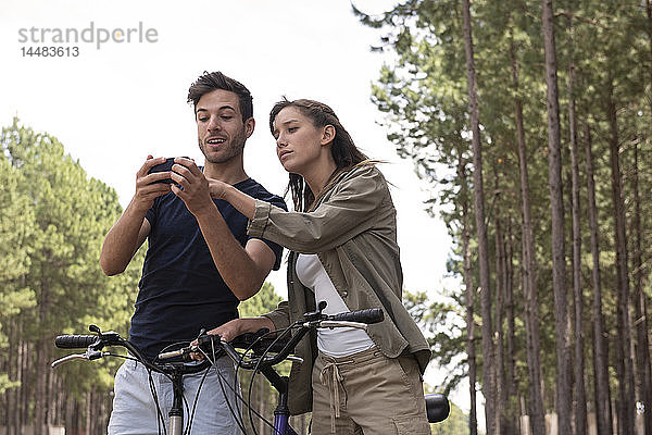 Junges Paar benutzt Smartphone im Kiefernwald