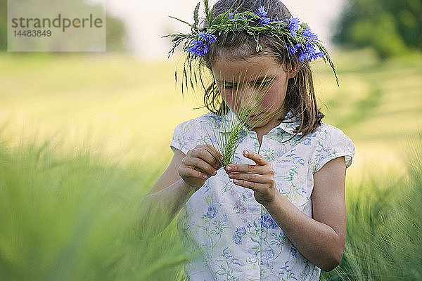 Neugieriges Mädchen mit Blumen im Haar  das einen grünen Weizenhalm in einem ländlichen Feld untersucht