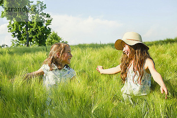 Glückliche  sorglose Schwestern in einem sonnigen  idyllischen  grünen Weizenfeld