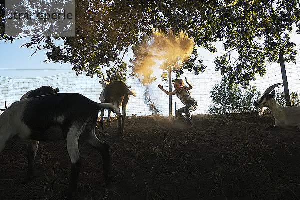 Mädchen spielt mit Ziegen auf einem Bauernhof