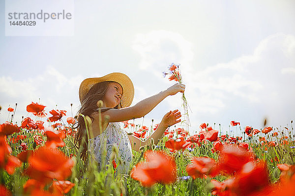 Mädchen pflückt rote Mohnblumen in einem sonnigen  idyllischen ländlichen Feld