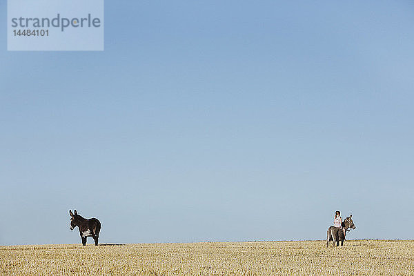 Mädchen reitet auf einem Esel in einem sonnigen ländlichen Feld