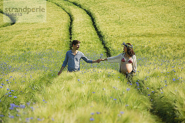 Zärtliches schwangeres Paar  das sich an den Händen hält  Spaziergang auf einer sonnigen  idyllischen  grünen Wiese