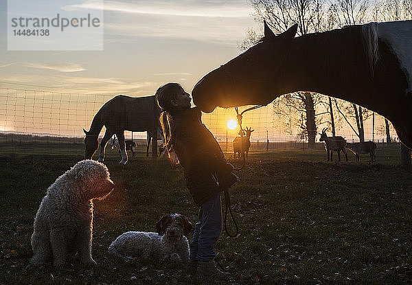 Silhouette Mädchen und Pferd küssen auf dem Bauernhof bei Sonnenuntergang