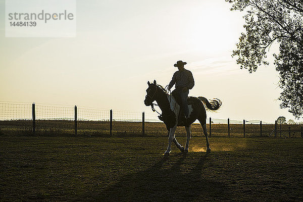 Silhouette Cowboy reitet Pferd auf ländlicher Ranch