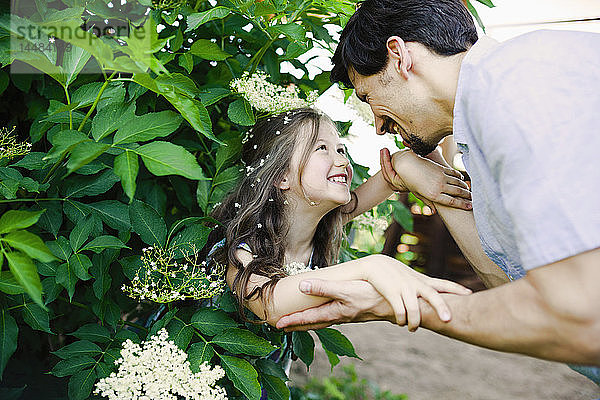 Glücklicher Vater hält seine Tochter an einem blühenden Busch an der Hand