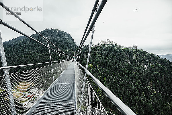 Highline 179 Hängebrücke über Baumkronen  Tirol  Österreich
