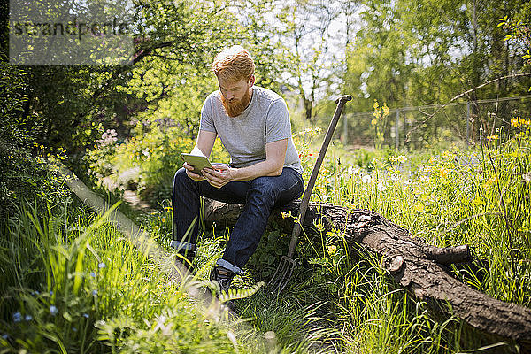 Mann mit Bart benutzt digitales Tablet in sonnigem Garten