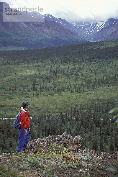 Wanderer überblickt Tal & AK Range Denali NP AK im Sommer