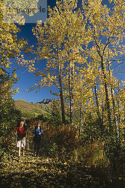 Familienwanderung Herbst-Waldweg Chugach State Park & Mountains Southcentral Alaska