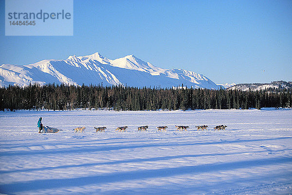 J. Redington Sr. auf dem Weg zum Finger Lake Iditarod 1997