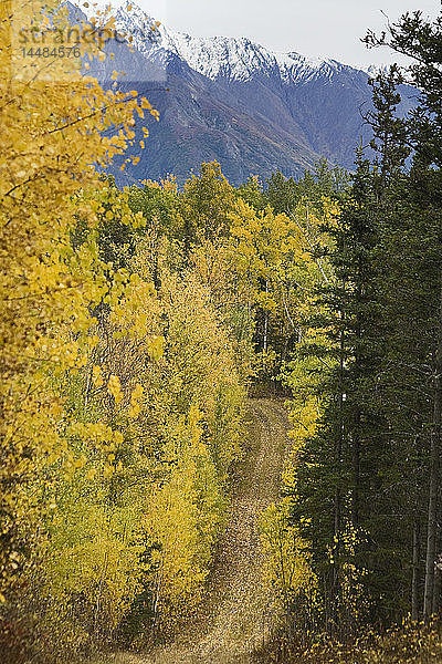 Blick auf die Chugach Mountains vom Crevasse Moraine Trail System in Wasilla  Southcentral Alaska  Herbst