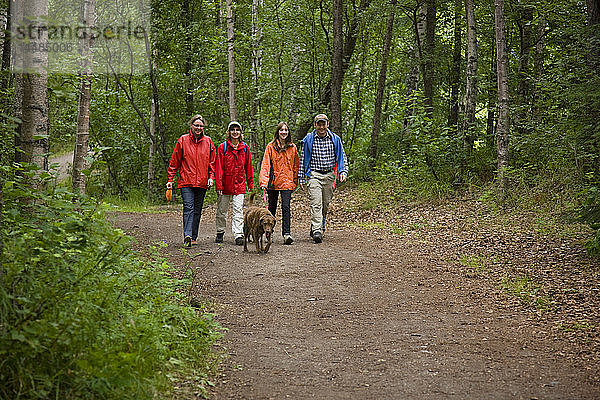 Familie mit Kindern und Hunden auf dem Wanderweg zu den Thunderbird Falls  Eklutna  Southcentral Alaska  USA.
