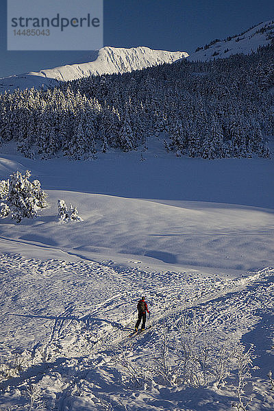 Langläufer beim Skifahren am Turnagain Pass  Süd-Zentral-Alaska