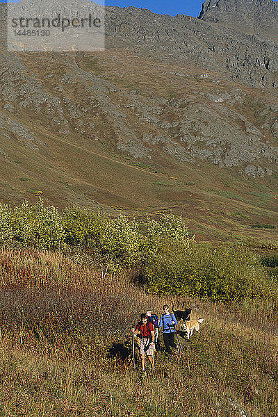Familienwanderung mit Hunden Chugach State Park Eagle River Valley Southcentral Alaska Herbst