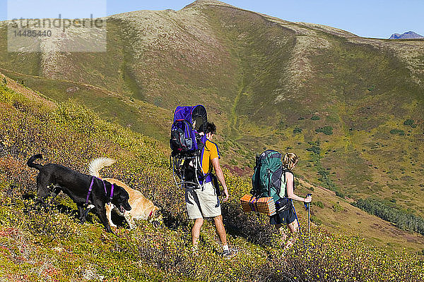 Gemeinsame Familienwanderung im Arctic Valley Chugach State Park Chugach Mountains Southcentral Alaska Sommer