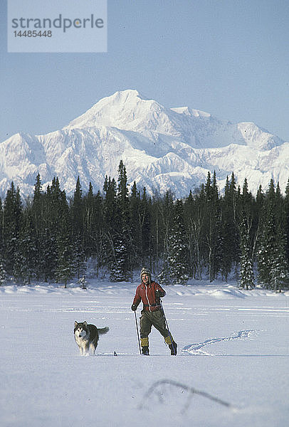 Mann beim Skilanglauf mit Hund Southcentral AK