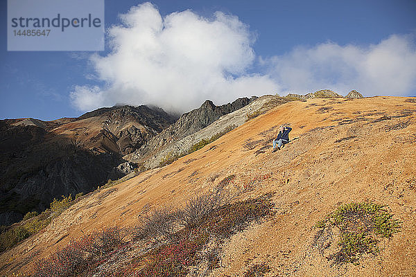 Wanderer  der auf dem Schafsberg mit einem Handy telefoniert  Talkeetna Mountains  Southcentral Alaska