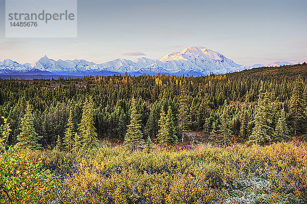 Frühmorgendliche Aufnahme der Nordwand des Mt. McKinley (Denali) vom Wonder Lake aus mit Alpenglühen auf dem oberen Berg im Denali National Park im Inneren Alaskas. Herbst. HDR