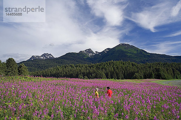 Paar wandert zwischen Fireweed Admiralty Is Tongass National Forest Südost Alaska Sommer