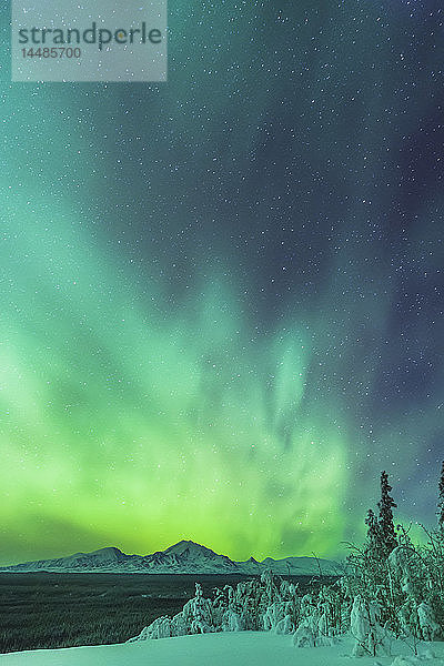 Grüne Nordlichter über dem Copper River und den Wrangell Mountains bei Glennallen  Süd-Zentral-Alaska  USA  Winter