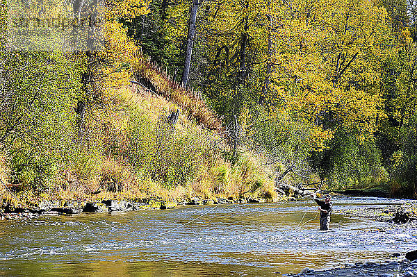 Fliegenfischer wirft auf wilde Steelhead am Deep Creek  Kenai-Halbinsel  Süd-Zentral-Alaska  Herbst