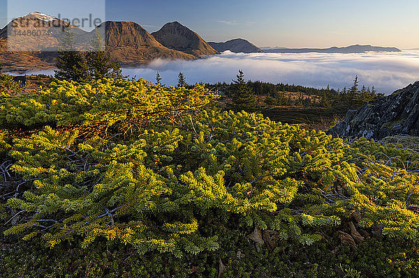 Blick auf den Nebel am Fuße der Three Sisters Mountains bei Sonnenaufgang vom Pillar Mountain aus gesehen  Kodiak Island  Südwest-Alaska