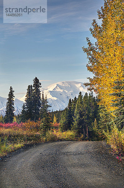 Aufnahme einer Schotterstraße auf dem Wonder Lake-Campingplatz mit borealem Wald  Herbstfarben und dem Mount McKinley (Denali) im Hintergrund  Denali National Park  Alaska. Herbst. HDR