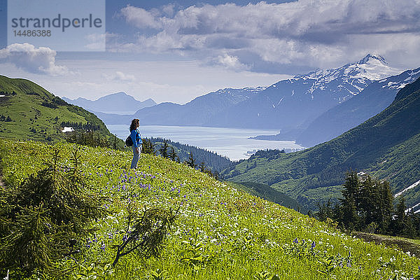 Frau wandert durch eine Wiese auf dem Lost Lake Trail mit Blick auf die Kenai Mountains  Resurrection Bay und Seward  Alaska im Sommer