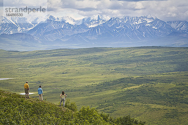 Wanderer genießen die Aussicht in der Nähe des Wonder Lake im Denali National Park  Alaska  im Sommer
