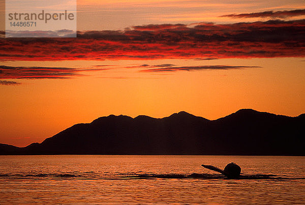 Buckelwal´s Schwanz Sonnenuntergang Inside Passage SE Alaska
