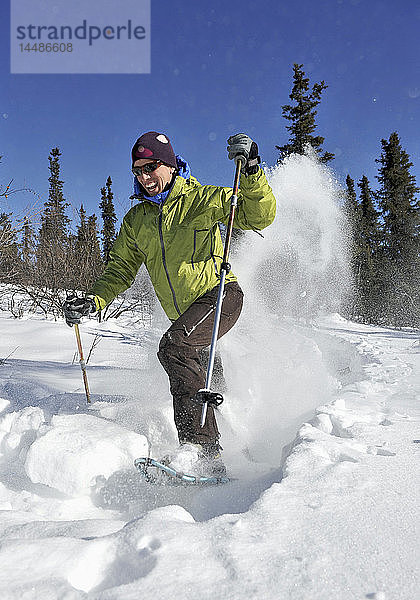 Mann beim Schneeschuhwandern  Inneres Alaska nördlich von Fairbanks  Winter