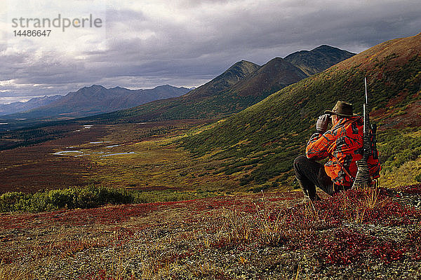 Hunter suchen Ferngläser Nenana River Interior AK Herbst Tundra landschaftlich