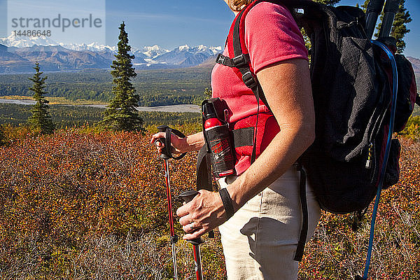 Frau  die auf dem Little Coal Creek Trail wandert  hält inne  um den Mt. Mckinley und die Alaska Range zu betrachten  Herbst  Southcentral  Alaska