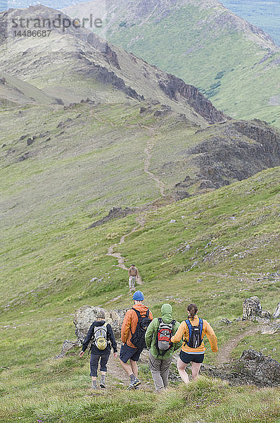 Vier Personen wandern auf dem Wolverine Peak Trail  Prospect Heights Trailhead area  Chugach Mountains  Spätsommer  Southcentral  Alaska