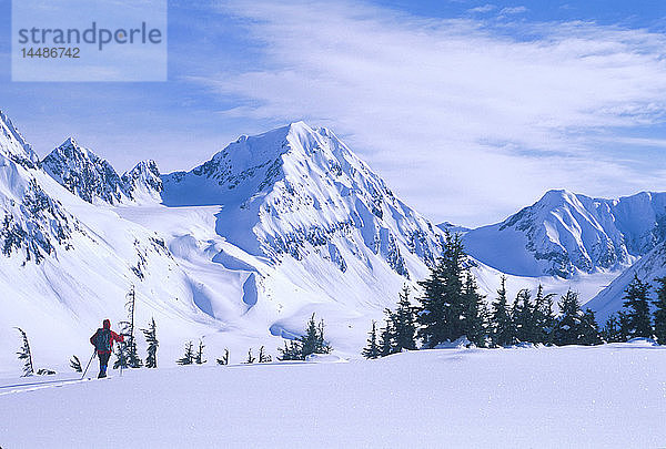 Skilangläufer Winter Turnagain Pass SC Alaska