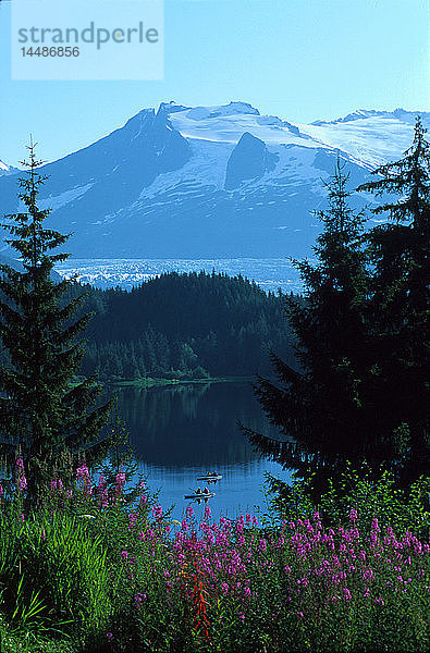 Kajakfahrer Auke Lake Mendenhall Glacier Juneau AK Coast Mtns Fireweed Southeast Summer