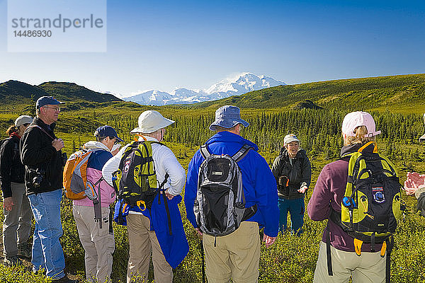 Eine Gruppe von Wanderern genießt die Aussicht auf die Nordseite des Mt. Mckinley  Denali National Park  Inneres Alaska  Sommer/n