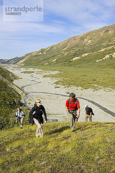 Eine Gruppe von Wanderern wandert auf einem Bergrücken in die Alaska Range oberhalb des Thorofare River  Denali National Park  Interior Alaska  Sommer/n