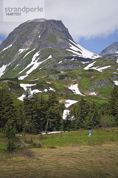 Frau beim Wandern in den Kenai Mountains auf dem Lost Lake Trail in der Nähe von Seward  Alaska  im Sommer