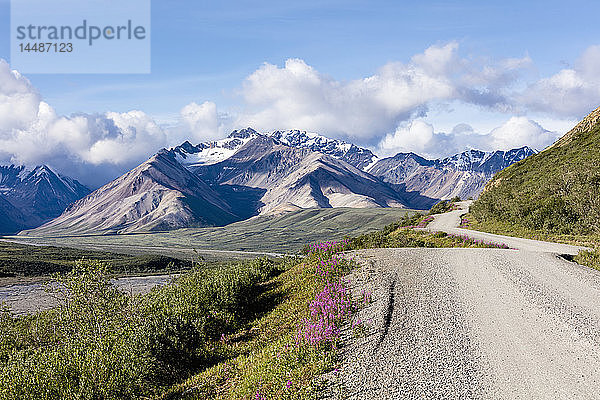 Landschaftliche Ansicht der Alaska Range in der Nähe des Polychrome Passes mit der Parkstraße im Vordergrund  Inneres Alaska  Sommer