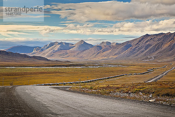 Blick auf die Trans-Alaska-Pipeline entlang des Dalton Highway und die Brooks Range im Hintergrund  ANWR  Arctic Alaska  Herbst
