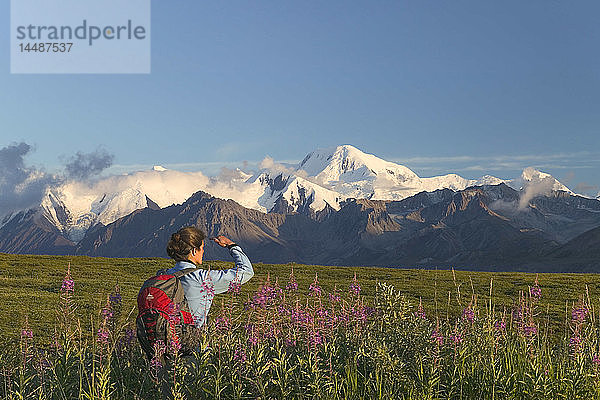 Frau Wandern auf Grassy Pass in Fireweed Denali NP AK IN Sommer