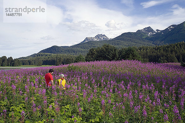 Paar wandert zwischen Fireweed Admiralty Is Tongass National Forest Südost Alaska Sommer