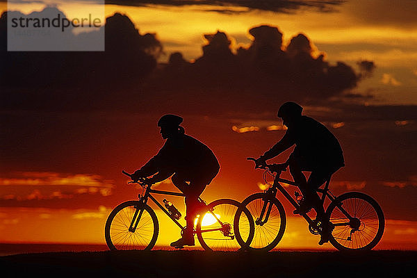 Mountain Bikers Riding @ Sunset Kincaid Park Southcentral Alaska Sommer