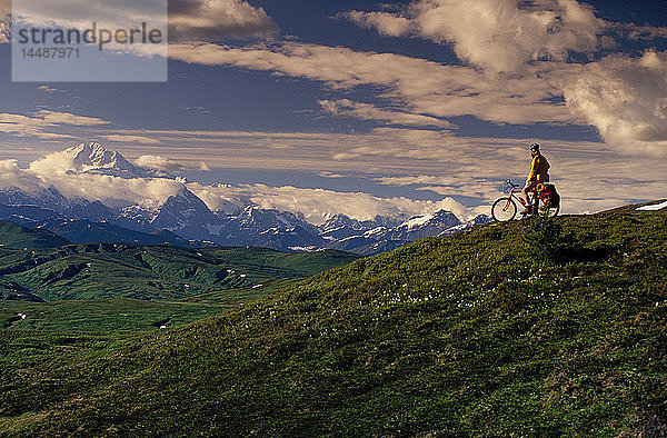 Mountainbiker w/Mt. Mckinley im Hintergrund SC