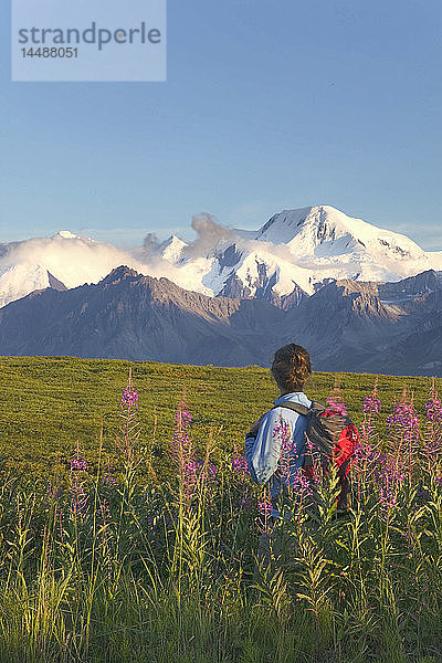 Frau Wandern auf Grassy Pass in Fireweed Denali NP AK IN Sommer