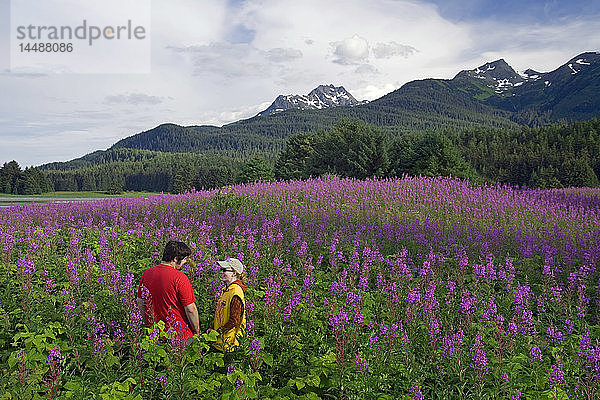 Paar wandert zwischen Fireweed Admiralty Is Tongass National Forest Südost Alaska Sommer