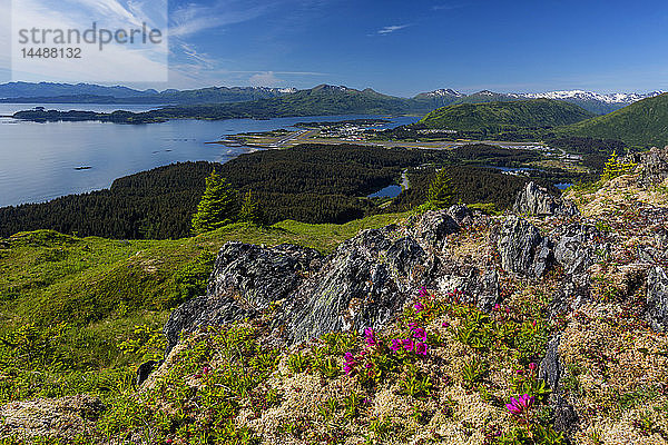 Aussicht vom Pillar Mountain mit Blick auf die Küste der Insel Kodiak  Südwest-Alaska  Sommer